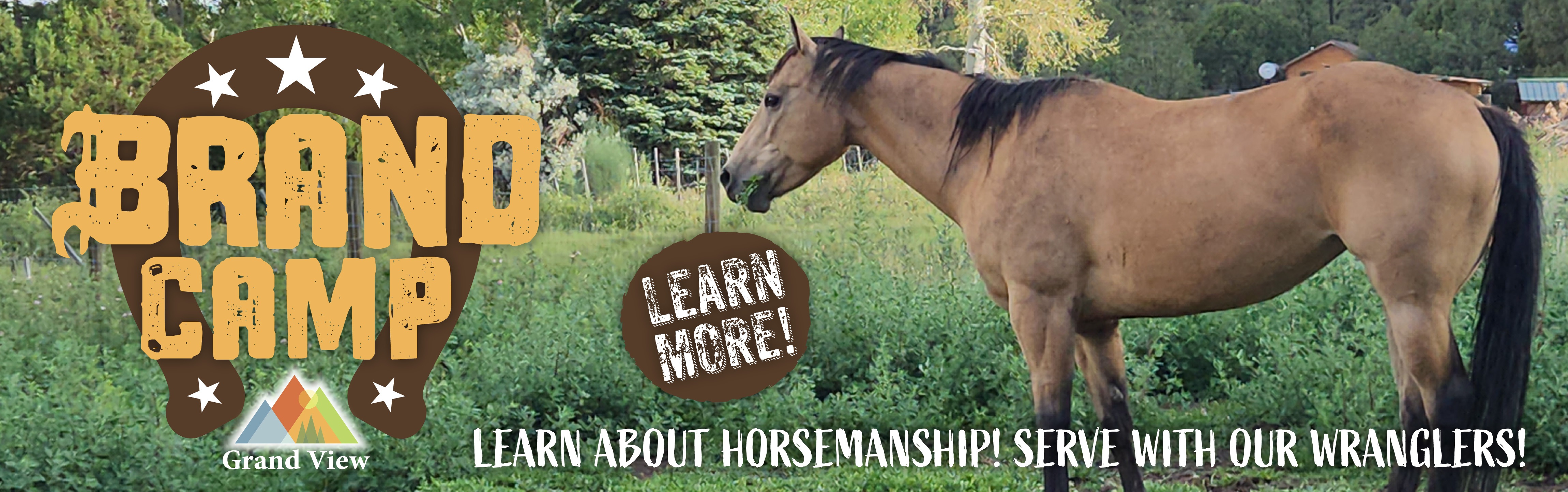 The Brand - Horsemanship Camp